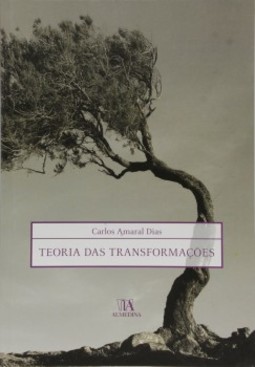 Teoria das transformações