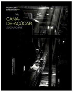 Cana-de-Açúcar