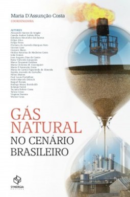 Gás natural no cenário brasileiro