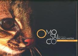 O MOSAICO