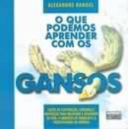 O Que Podemos Aprender Com Os Gansos