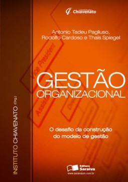 Gestão organizacional: o desafio da construção do modelo de gestão