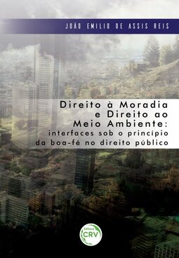 Direito à moradia e direito ao meio ambiente: interfaces sob o princípio da boa-fé no direito público
