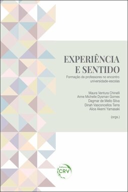 Experiência e sentido: formação de professores no encontro universidade-escolas