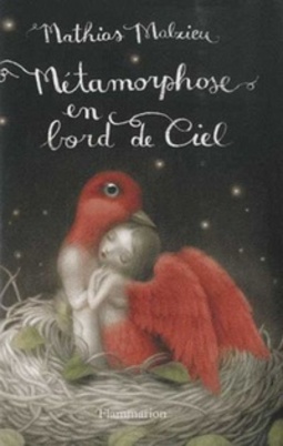 Métamorphose en bord de Ciel