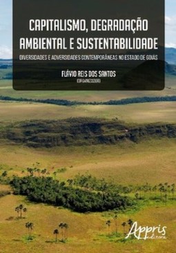 Capitalismo, degradação ambiental e sustentabilidade
