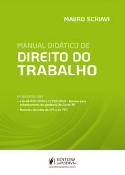 Manual didático de direito do trabalho