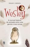 WESLEY - A INCRIVEL HISTORIA DE AMIZADE