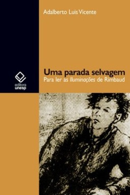 Uma parada selvagem: para ler as iluminações de rimbaud