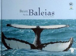 Brasil: Mar das Baleias: Brazil Sea of Whales