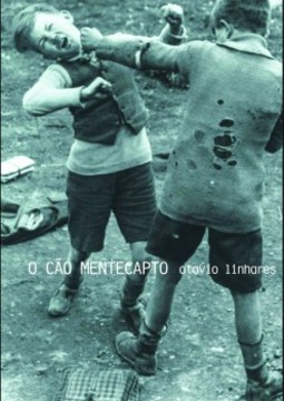 O cão mentecapto
