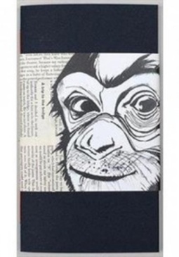 A órbita de King Kong