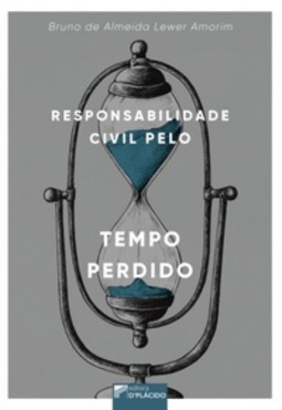 Responsabilidade civil pelo tempo perdido