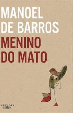 MENINO DO MATO