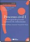 Estudos Direcionados Processo Civil - Vol. 22