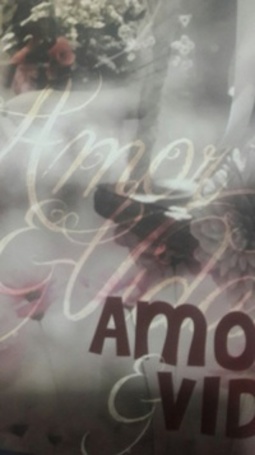 Amor e Vida