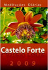 Castelo Forte 2009 - Meditações Diárias