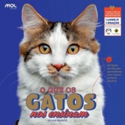 O que os gatos nos ensinam
