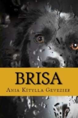 Brisa