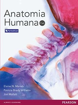 Anatomia humana com MyHealthLab