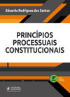 Princípios processuais constitucionais