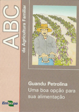 Guandu petrolina - Uma opção para sua alimentação