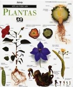 Plantas