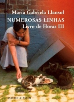 Numerosas linhas (Livro de Horas III)