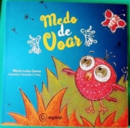 Medo de Voar