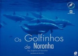 OS GOLFINHOS DE NORONHA