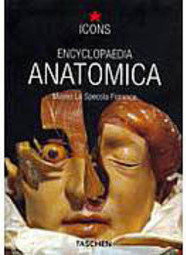 Encyclopaedia Anatomica - Importado