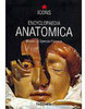 Encyclopaedia Anatomica - Importado
