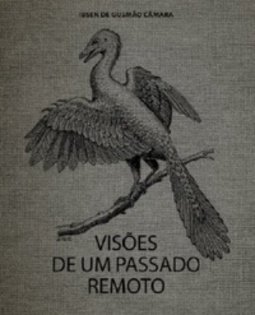 Visões de um passado remoto