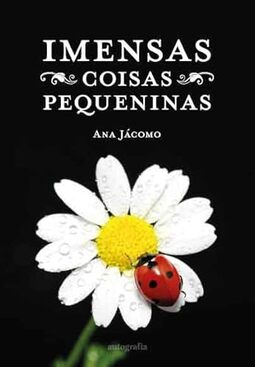 Imensas coisas pequininas