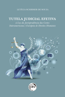 Tutela judicial efetiva: à luz da jurisprudência das cortes interamericana e europeia de direitos humanos