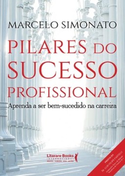 Pilares do sucesso profissional
