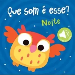 Noite : Que Som É Esse?