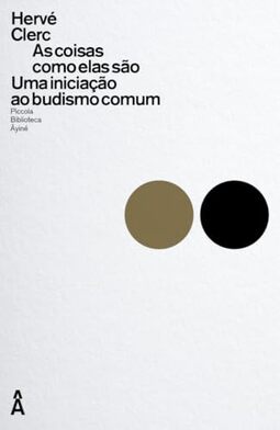 As coisas como elas são: Uma iniciação ao budismo comum