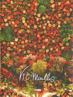 VIC MEIRELLES