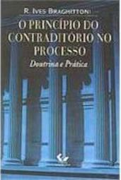 O Princípio do Contraditório no Processo: Doutrina e Prática