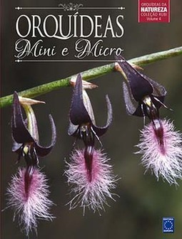 Orquídeas mini e micro