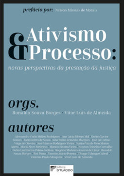 Ativismo e processo: novas perspectivas da prestação da justiça