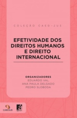 Efetividade dos Direitos Humanos e Direito Internacional (CAED-JUS)