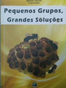 Pequenos grupos, grandes soluções