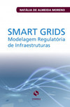 Smart grids: modelagem regulatória de infraestruturas