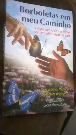 BORBOLETAS EM MEU CAMINHO