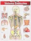 Sistema Endócrino Avançado