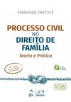 Processo civil no direito de família: Teoria e prática