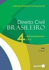 Direito civil brasileiro: responsabilidade civil