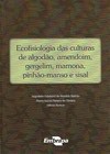 ECOFISIOLOGIA DAS CULTURAS DE ALGODAO, AMENDOIM, GERGELIM, MAMONA, PINHAO-MANSO E SISAL